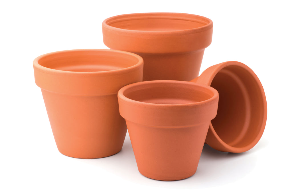 Indoor Pots