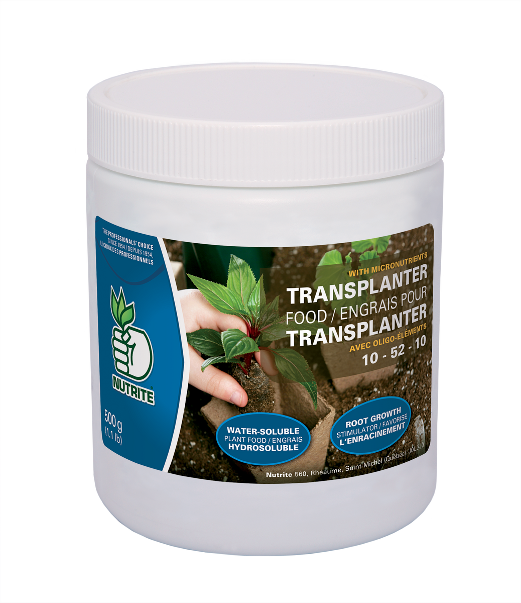 Nutrite Transplanter Food – Holland Park Garden Living