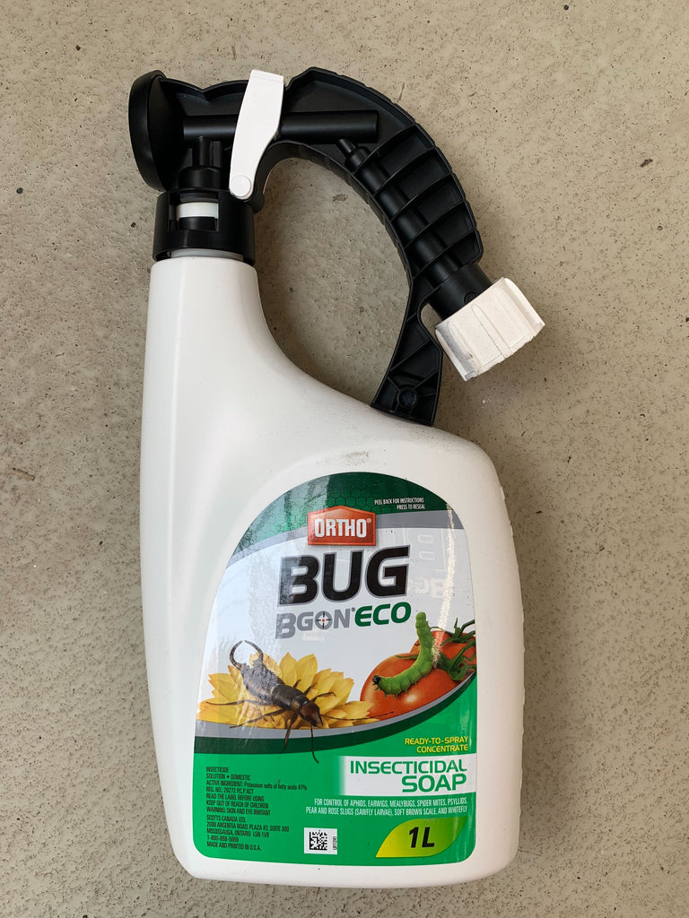 ortho ecosense insecticidal soap Ortho Bug Bgon Eco Insecticidal Soap – Holland Park Garden Living